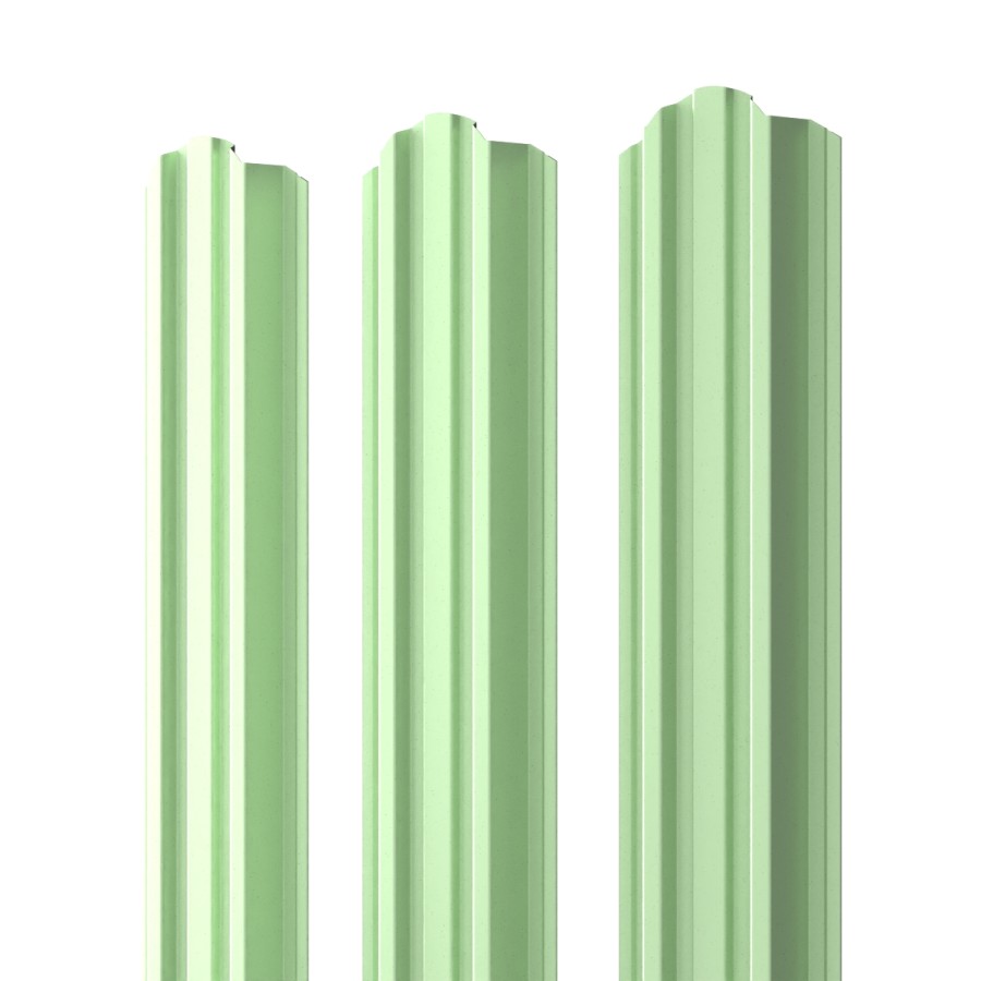 RAL 6019